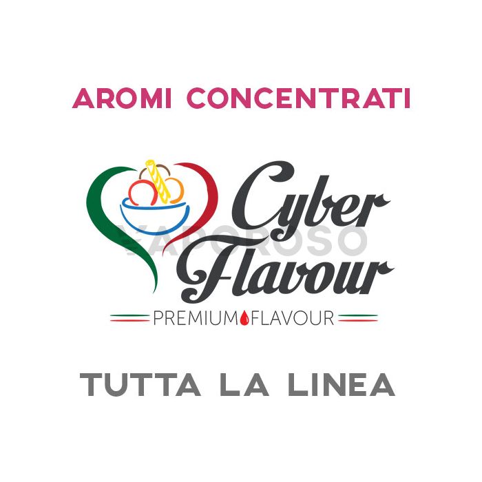 Aromi Concentrati CyberFlavour