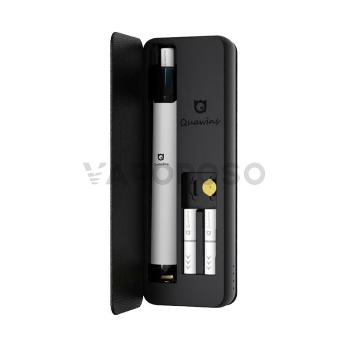 Quawins Custodia Power Bank 2000mAh per VStick Pro