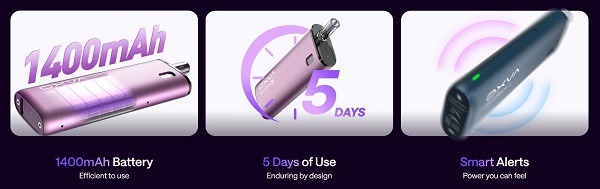 Slimstick X batteria